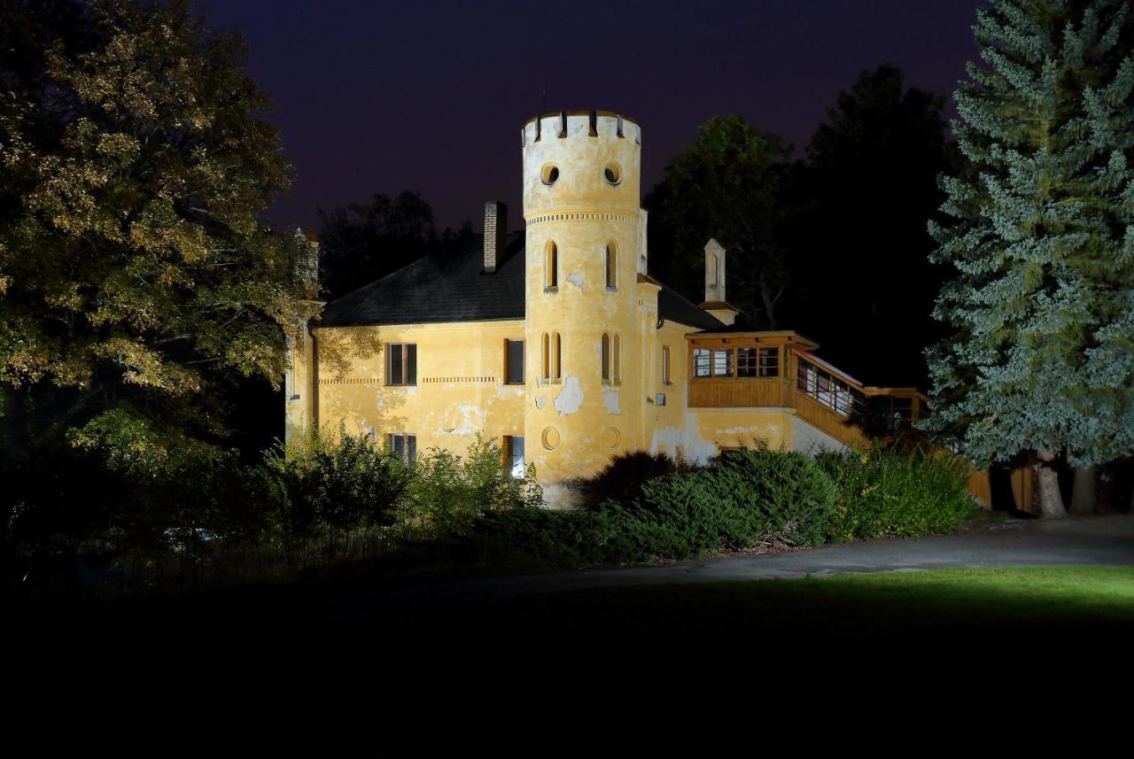 Zámek Nečtiny Netschetin Exterior foto