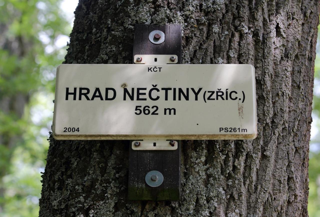 Zámek Nečtiny Netschetin Exterior foto